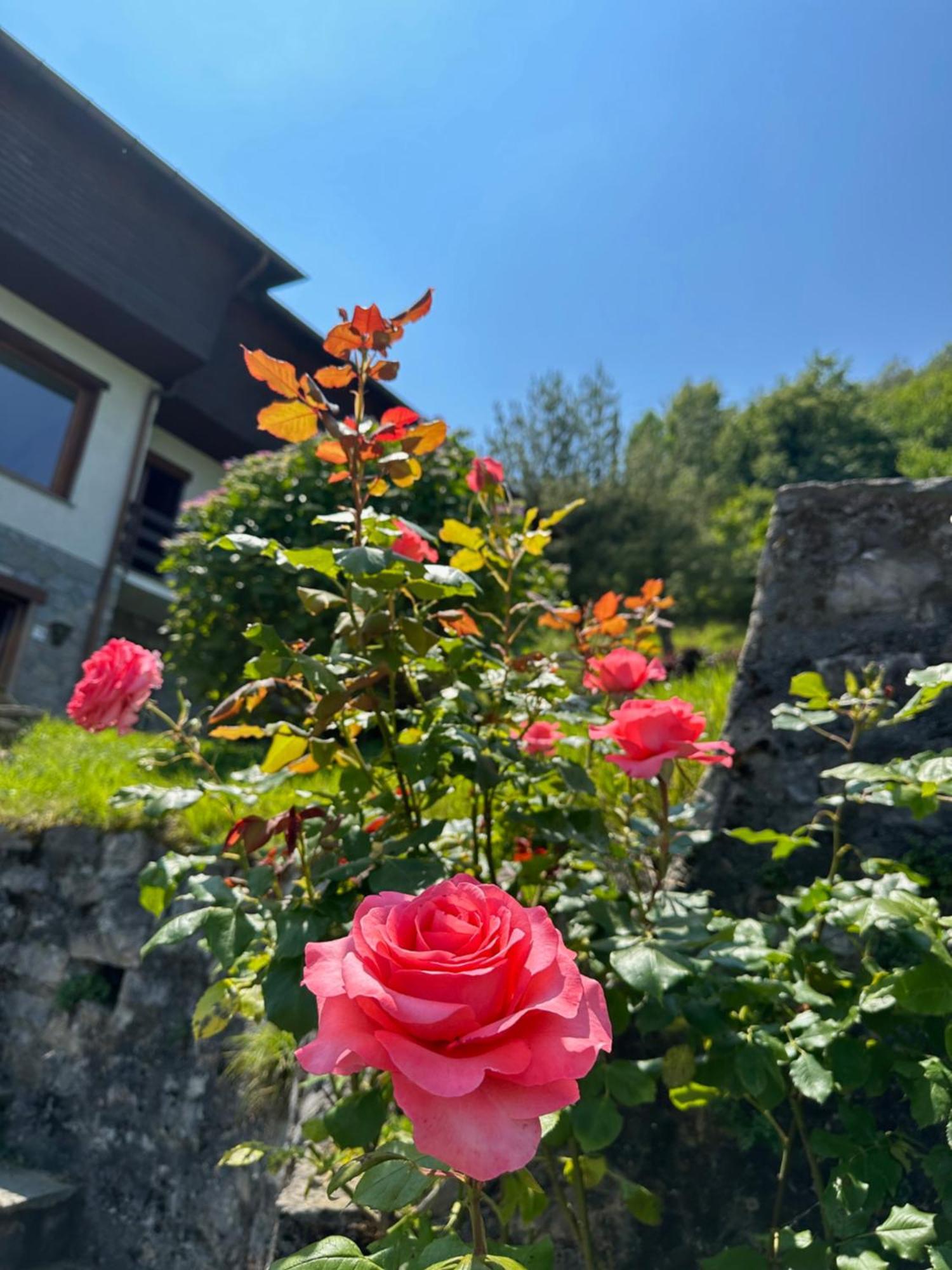 Villa D'Alba Guest House Civenna Εξωτερικό φωτογραφία